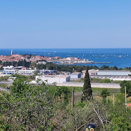Apartma Lili Izola Dış mekan fotoğraf
